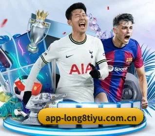 龙八体育 APP 界面